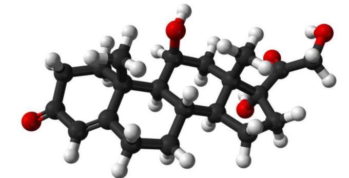 糖皮質(zhì)激素的新型生物標志物可幫助定制治療