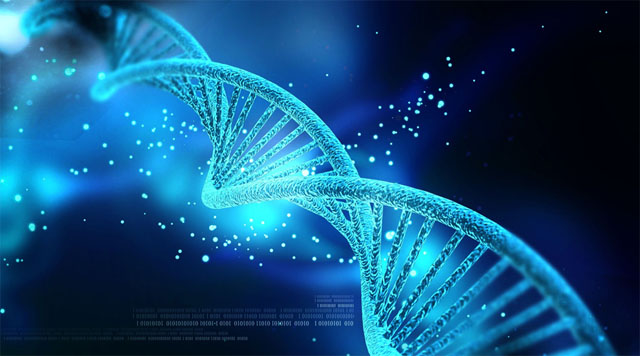 科學家繪制了大腦中潛在的基因變化以及衰老的認知能力下降的圖譜