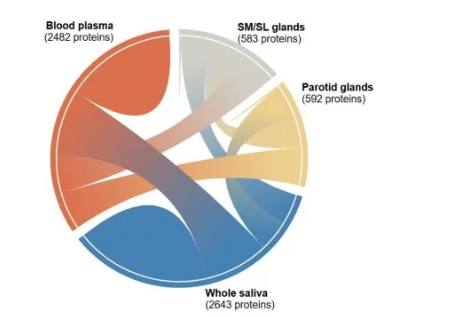 人類唾液蛋白質(zhì)組維基可以幫助改變?cè)\斷測(cè)試