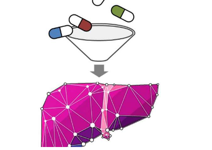 脂肪肝和2型糖尿病的新療法可以消耗肝臟中的脂肪
