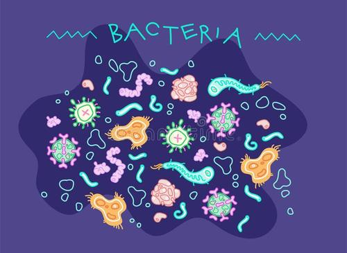 解碼微生物代謝解釋生物燃料產(chǎn)量