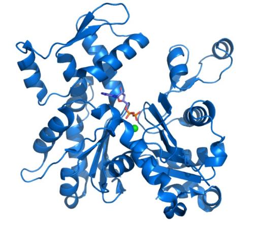 抑制AL淀粉樣的錯誤蛋白質的分子指向新型療法