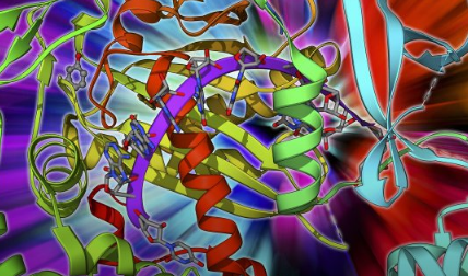 microRNA在細(xì)胞核基因表達(dá)中的作用可能促進(jìn)基因治療