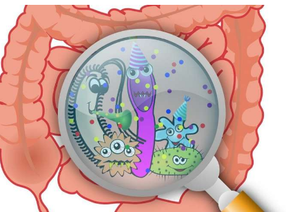 科學家將潰瘍性結腸炎與缺失的腸道微生物聯(lián)系起來