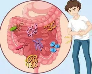 與炎癥性腸病和抑郁癥相關(guān)的單一腸道腸型