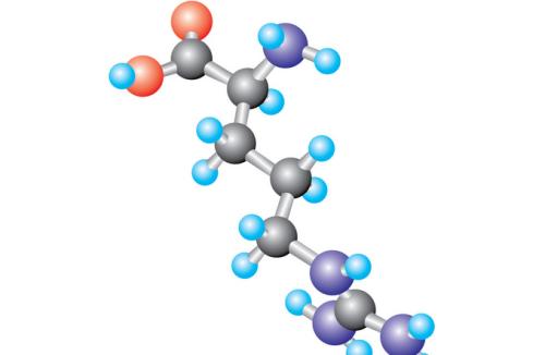 沒(méi)有骨頭這種蛋白質(zhì)可以減緩骨折愈合