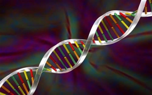 科學(xué)家已經(jīng)在新型患者的糞便中檢測到了新的RNA