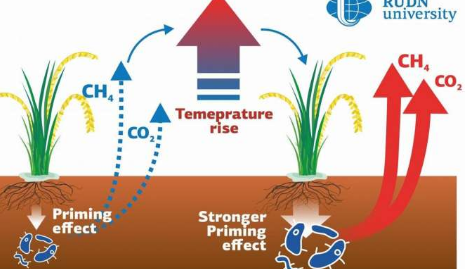 科學(xué)家表明全球變暖對(duì)稻田土壤溫室氣體排放的影響