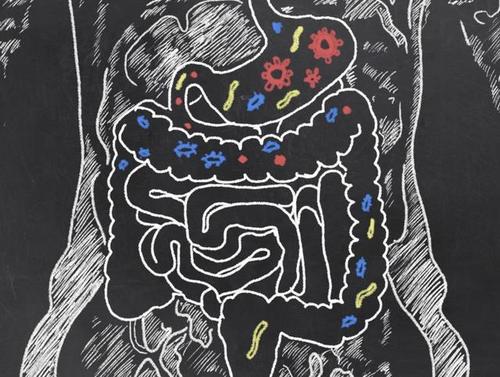 腸道微生物與黑色素瘤患者的免疫治療反應有關