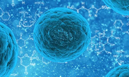 科學家設計一種蛋白質來對抗癌癥和再生神經元