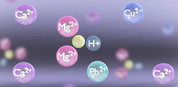 新研究追蹤開放海洋中基于硫的新陳代謝