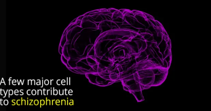 識別出精神分裂癥的細胞類型
