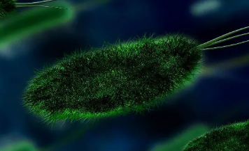 腸道微生物組和帕金森氏病之間的生物學(xué)聯(lián)系