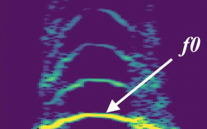 科學(xué)家使用機(jī)器學(xué)習(xí)發(fā)現(xiàn)獅子吼聲的獨(dú)特特征
