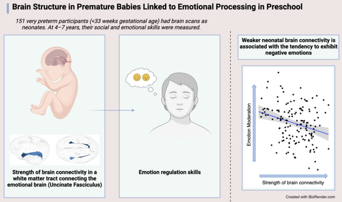 早產(chǎn)兒的大腦結(jié)構(gòu)與學(xué)齡前情緒處理有關(guān)