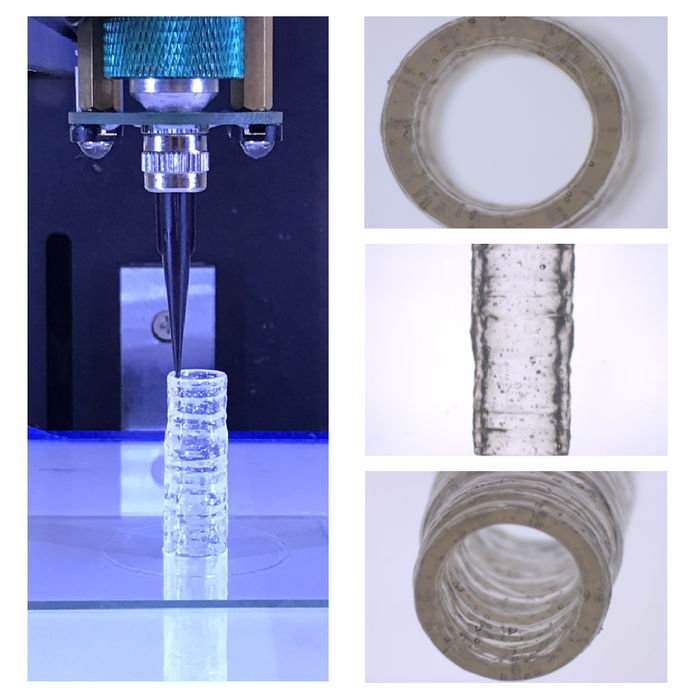 Texas A&M工程師培育出3D生物打印血管