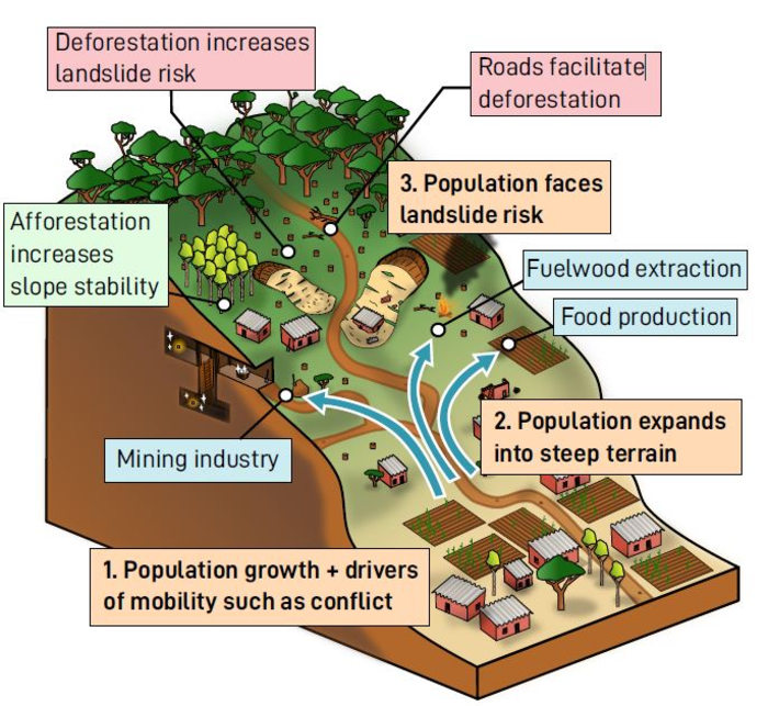 基伍裂谷的滑坡災(zāi)害風(fēng)險(xiǎn)與森林砍伐和人口增長有關(guān)