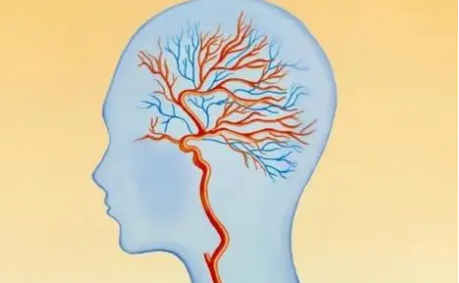 關(guān)鍵的心智能力實(shí)際上可以在衰老過程中得到改善