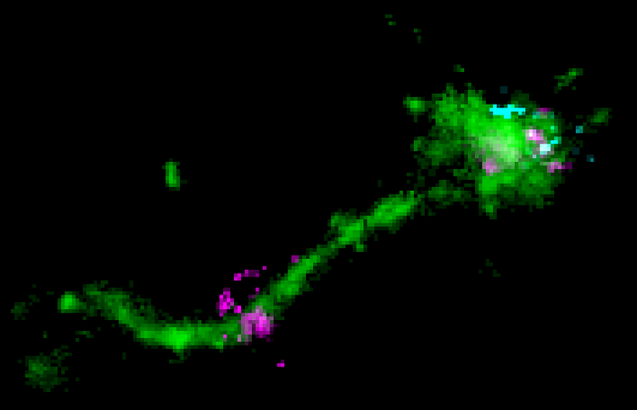 如何將 mRNA 療法遞送到細胞中