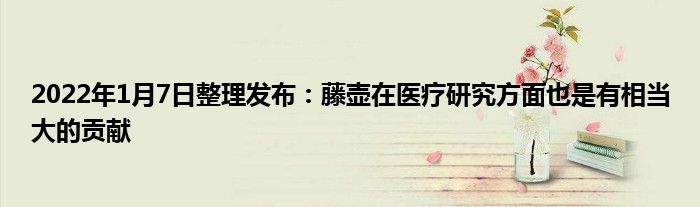 2022年1月7日整理發(fā)布：藤壺在醫(yī)療研究方面也是有相當(dāng)大的貢獻(xiàn)