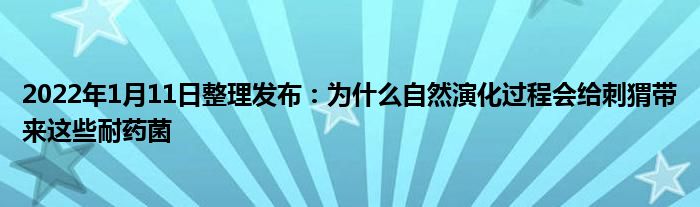 2022年1月11日整理發(fā)布：為什么自然演化過程會給刺猬帶來這些耐藥菌