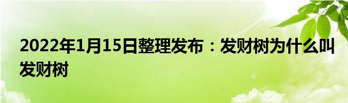 2022年1月15日整理發(fā)布：發(fā)財(cái)樹為什么叫發(fā)財(cái)樹