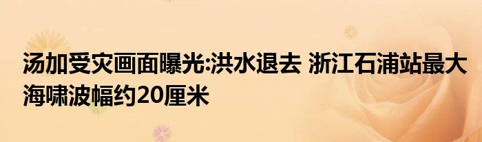 湯加受災(zāi)畫面曝光:洪水退去 浙江石浦站最大海嘯波幅約20厘米