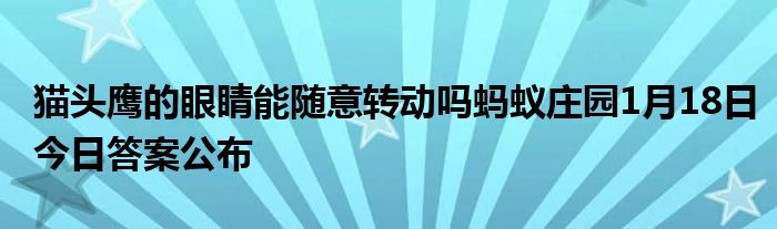 貓頭鷹的眼睛能隨意轉動嗎螞蟻莊園1月18日今日答案公布