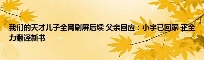 我們的天才兒子全網刷屏后續(xù) 父親回應：小宇已回家 正全力翻譯新書