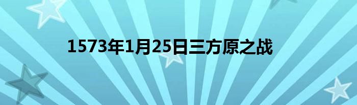 1573年1月25日三方原之戰(zhàn)