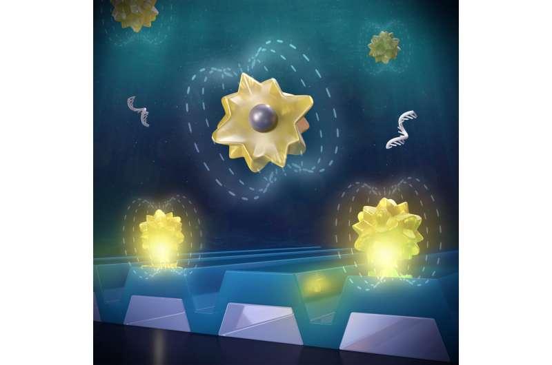 如何加速癌癥生物標志物檢測以進行即時診斷