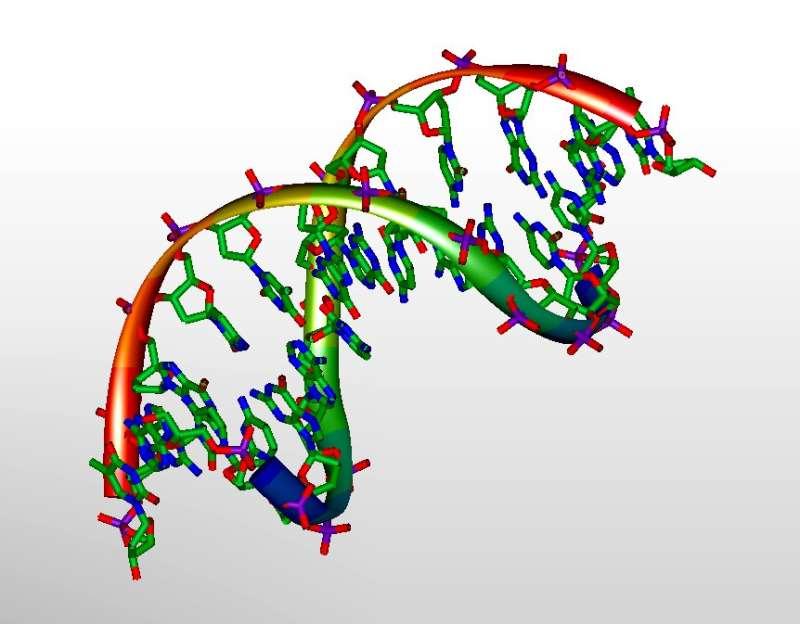 新的詳細(xì)免疫分析方法僅使用血液中的 DNA