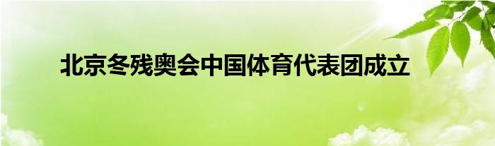 北京冬殘奧會中國體育代表團成立