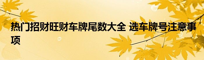 熱門招財旺財車牌尾數(shù)大全 選車牌號注意事項