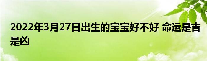 2022年3月27日出生的寶寶好不好 命運是吉是兇