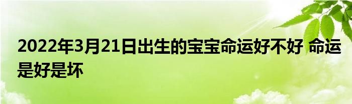 2022年3月21日出生的寶寶命運(yùn)好不好 命運(yùn)是好是壞