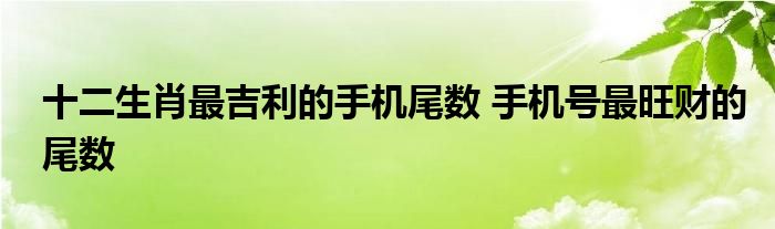 十二生肖最吉利的手機(jī)尾數(shù) 手機(jī)號(hào)最旺財(cái)?shù)奈矓?shù)