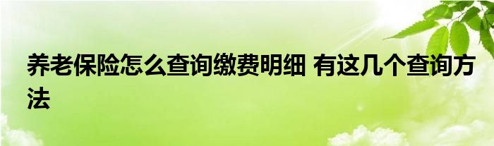 養(yǎng)老保險(xiǎn)怎么查詢繳費(fèi)明細(xì) 有這幾個(gè)查詢方法