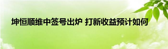 坤恒順維中簽號出爐 打新收益預(yù)計(jì)如何