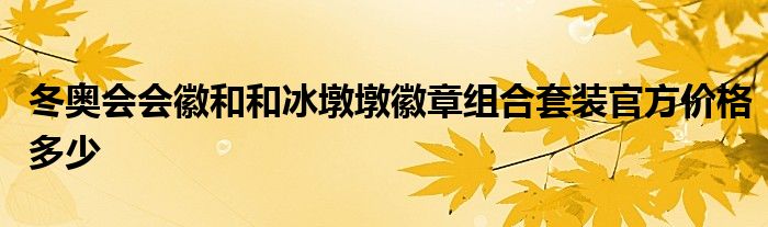 冬奧會會徽和和冰墩墩徽章組合套裝官方價(jià)格多少