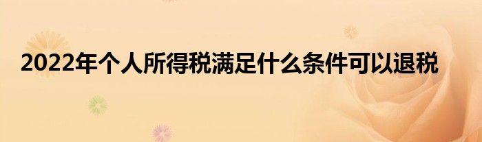 2022年個(gè)人所得稅滿足什么條件可以退稅