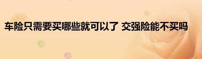 車(chē)險(xiǎn)只需要買(mǎi)哪些就可以了 交強(qiáng)險(xiǎn)能不買(mǎi)嗎