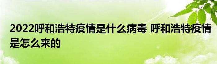 2022呼和浩特疫情是什么病毒 呼和浩特疫情是怎么來的