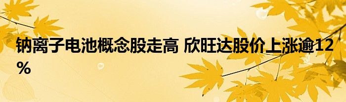 鈉離子電池概念股走高 欣旺達股價上漲逾12%