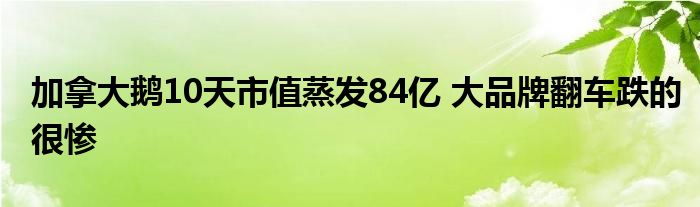 加拿大鵝10天市值蒸發(fā)84億 大品牌翻車跌的很慘