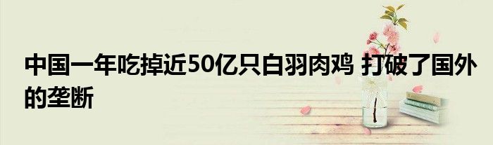 中國(guó)一年吃掉近50億只白羽肉雞 打破了國(guó)外的壟斷