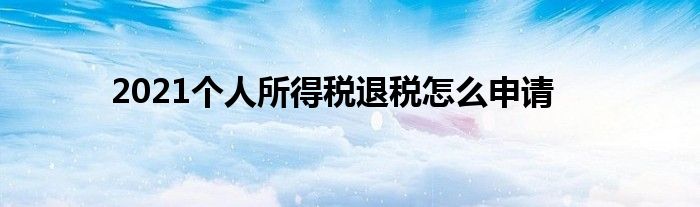 2021個(gè)人所得稅退稅怎么申請(qǐng)