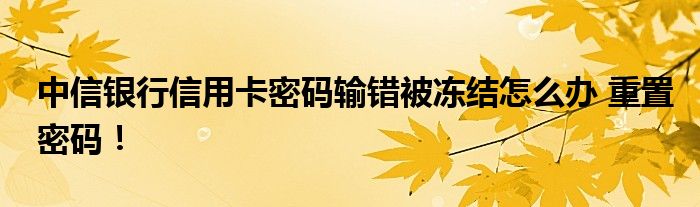 中信銀行信用卡密碼輸錯(cuò)被凍結(jié)怎么辦 重置密碼！