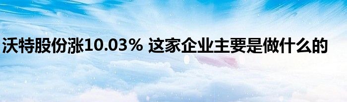 沃特股份漲10.03% 這家企業(yè)主要是做什么的