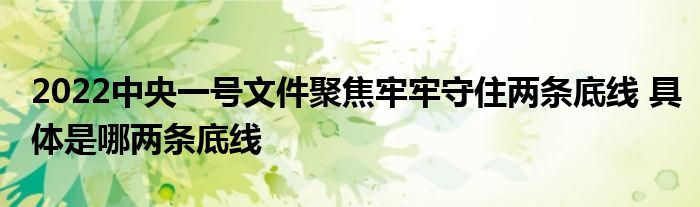 2022中央一號(hào)文件聚焦牢牢守住兩條底線 具體是哪兩條底線